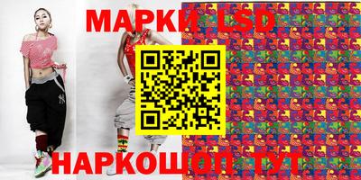 амф Владимир