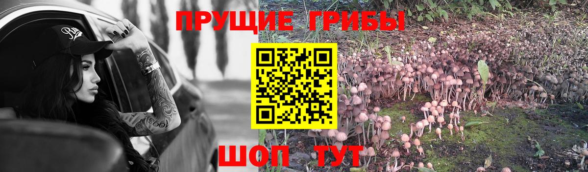 Псилоцибиновые грибы Magic Shrooms  Галлюциногенные грибы мухоморы  Вход с VPN  Киров 